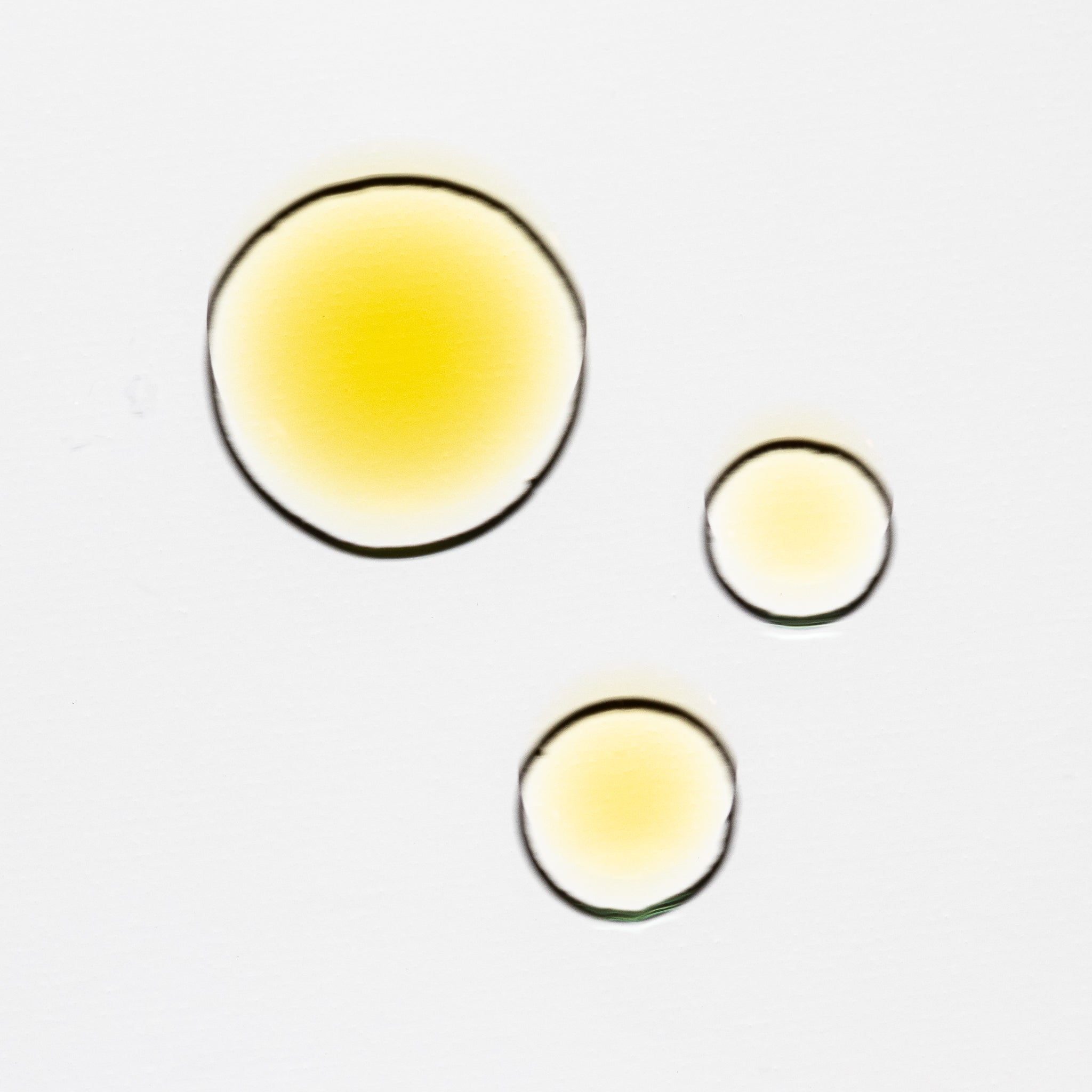 Carrot Seed Oil
