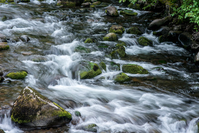 Luxurious Haircare the Natural Way: Introducing Shampoo River Bars