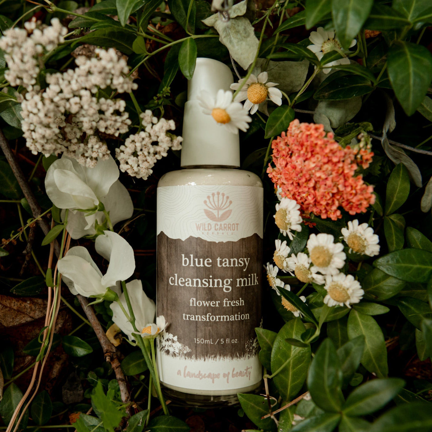 Blue Tansy Cleansing Milk