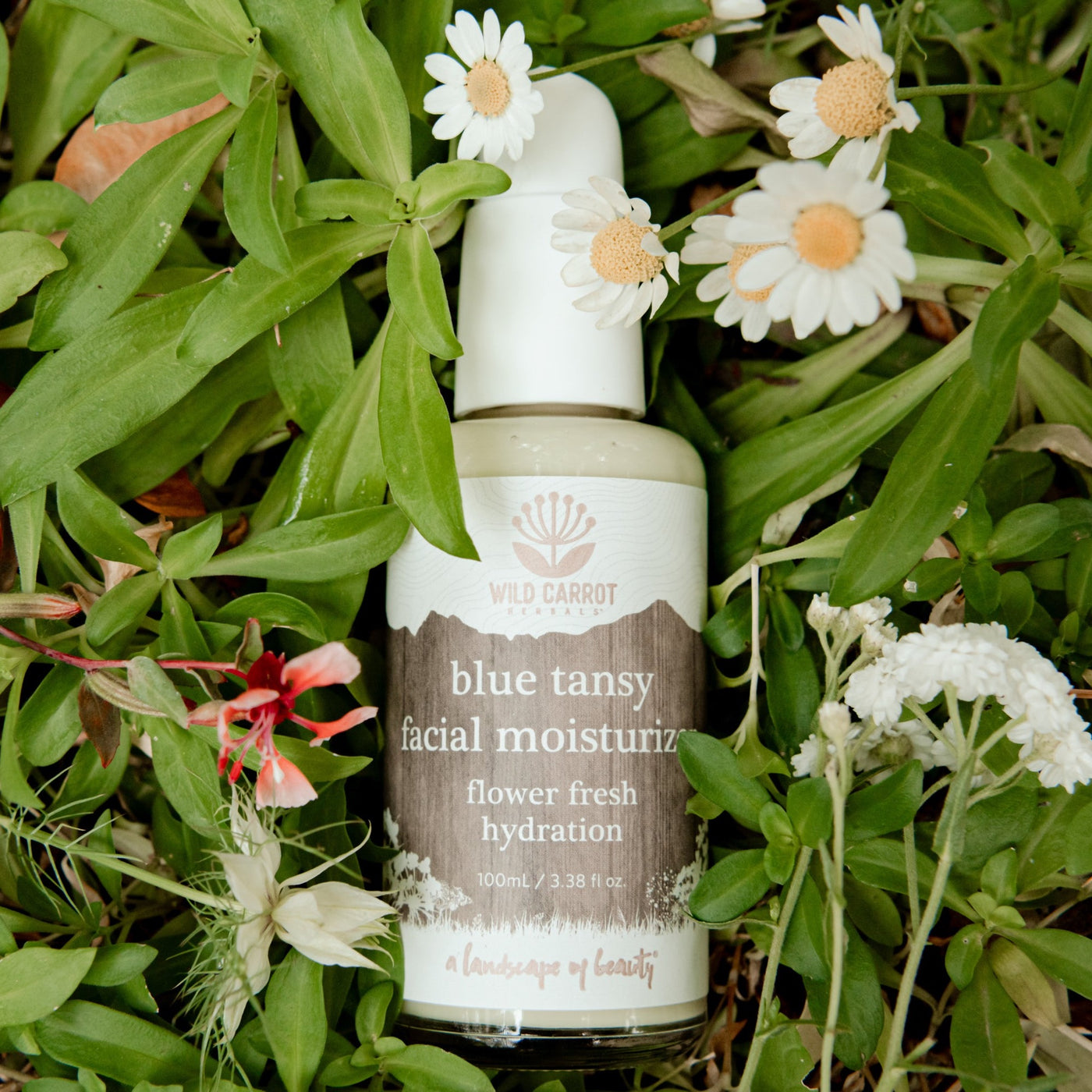 Blue Tansy Facial Moisturizer