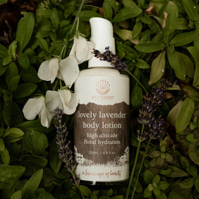 Lovely Lavender Body Lotion