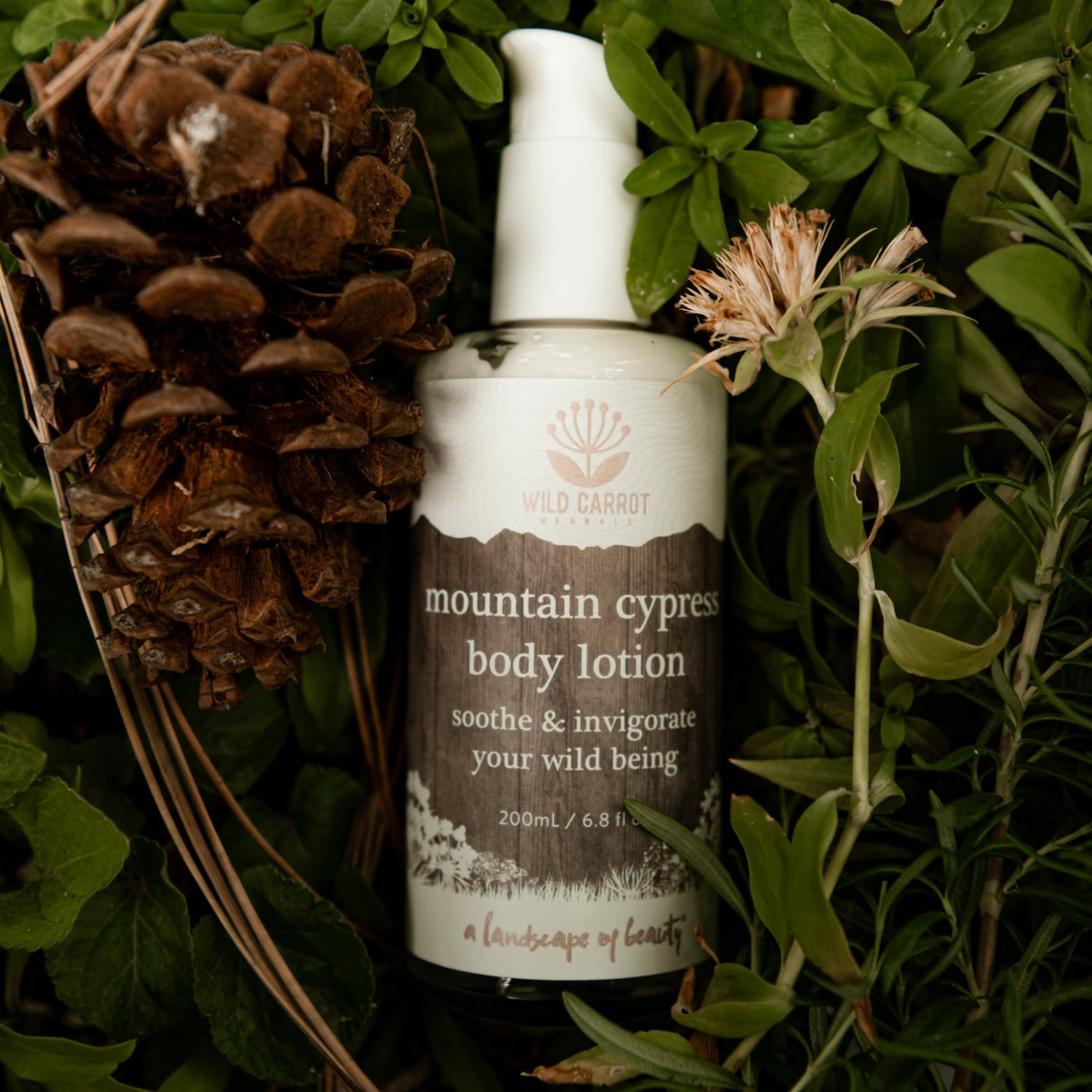 Mountain Cypress Body Lotion