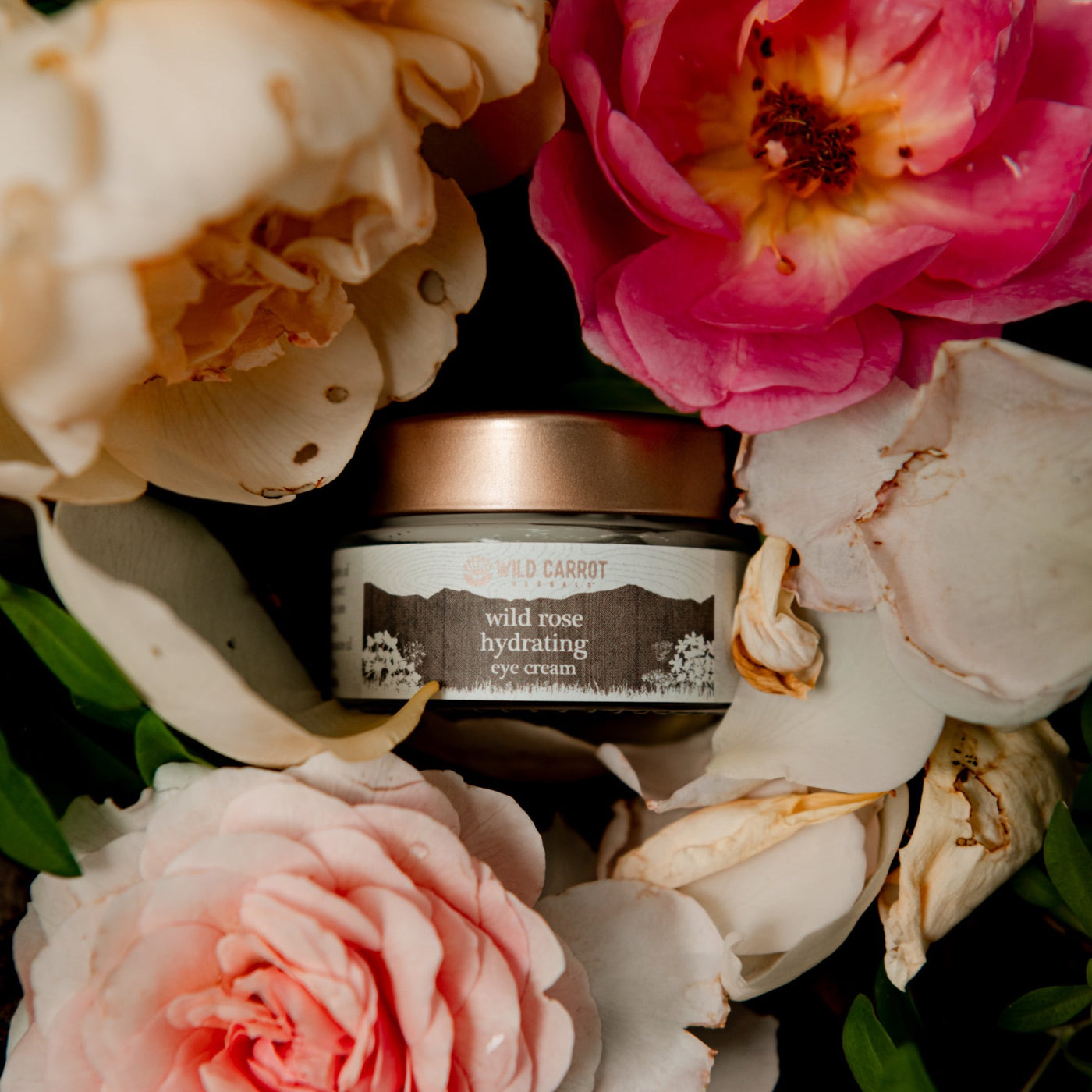 Wild Rose Hydrating Eye Cream